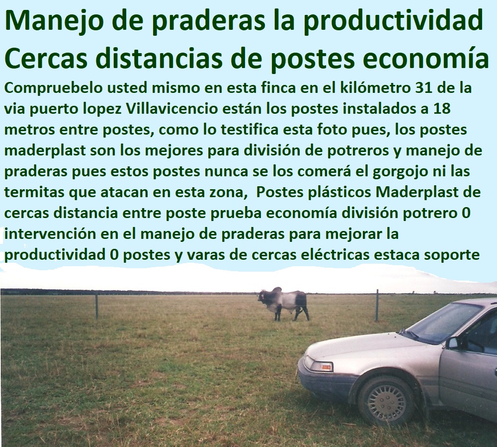 Postes plásticos Maderplast de cercas distancia entre poste prueba economía división potrero 0 intervención en el manejo de praderas para mejorar la productividad 0 postes y varas de cercas eléctricas estaca soporte Postes plásticos Maderplast de cercas distancia entre poste prueba economía división potrero 0 intervención en el manejo de praderas para mejorar la productividad 0 postes y varas de cercas eléctricas estaca soporte Postes plásticos Maderplast de cercas distancia entre poste prueba economía división potrero 0 intervención en el manejo de praderas para mejorar la productividad 0 postes y varas de cercas eléctricas estaca soporte